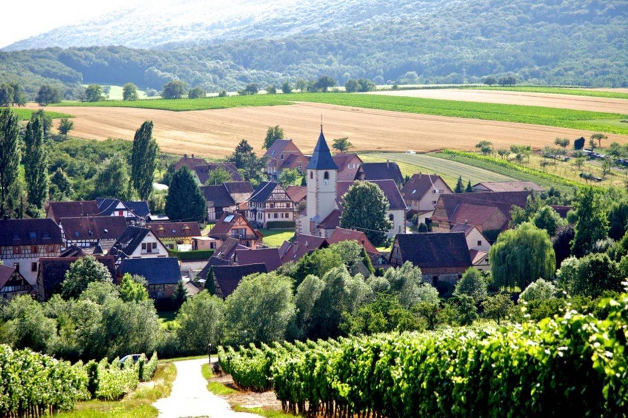 Апартаменты Elsasslogie Im Winzerdorf Cleebourg Экстерьер фото